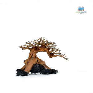 Masterpiece Bonsai Driftwood ~ 15 x 20 cm | A - 42