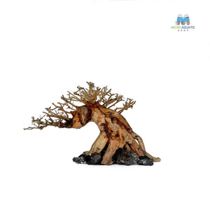 Masterpiece Bonsai Driftwood ~ 15 x 20 cm | A - 43