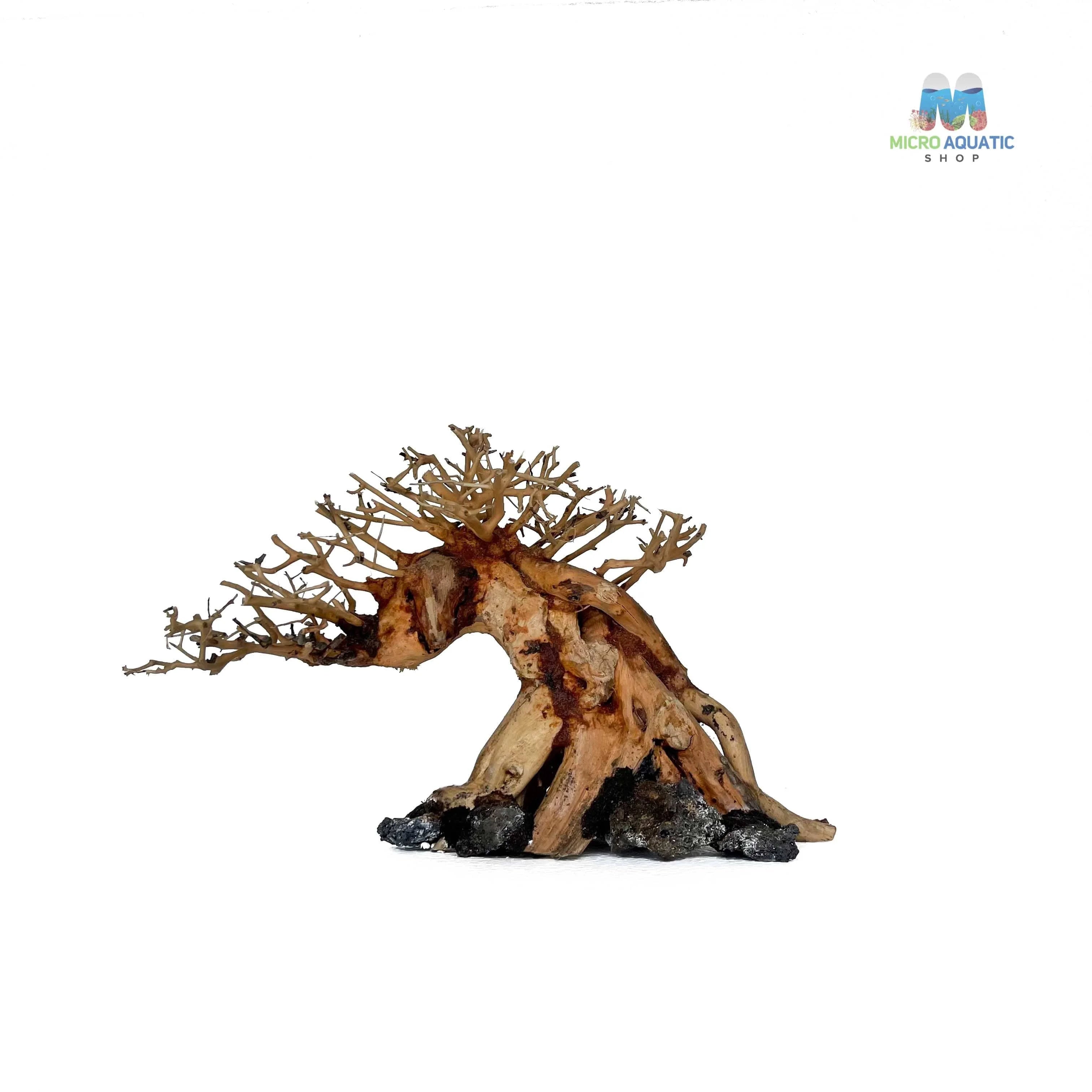 Masterpiece Bonsai Driftwood ~ 15 x 20 cm | A - 43