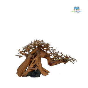 Masterpiece Bonsai Driftwood ~ 15 x 20 cm | A - 45