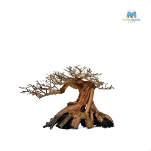 Masterpiece Bonsai Driftwood ~ 15 x 20 cm | A - 46