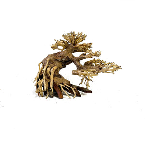 Masterpiece Bonsai Driftwood - 15 x 20 cm | S - 1z