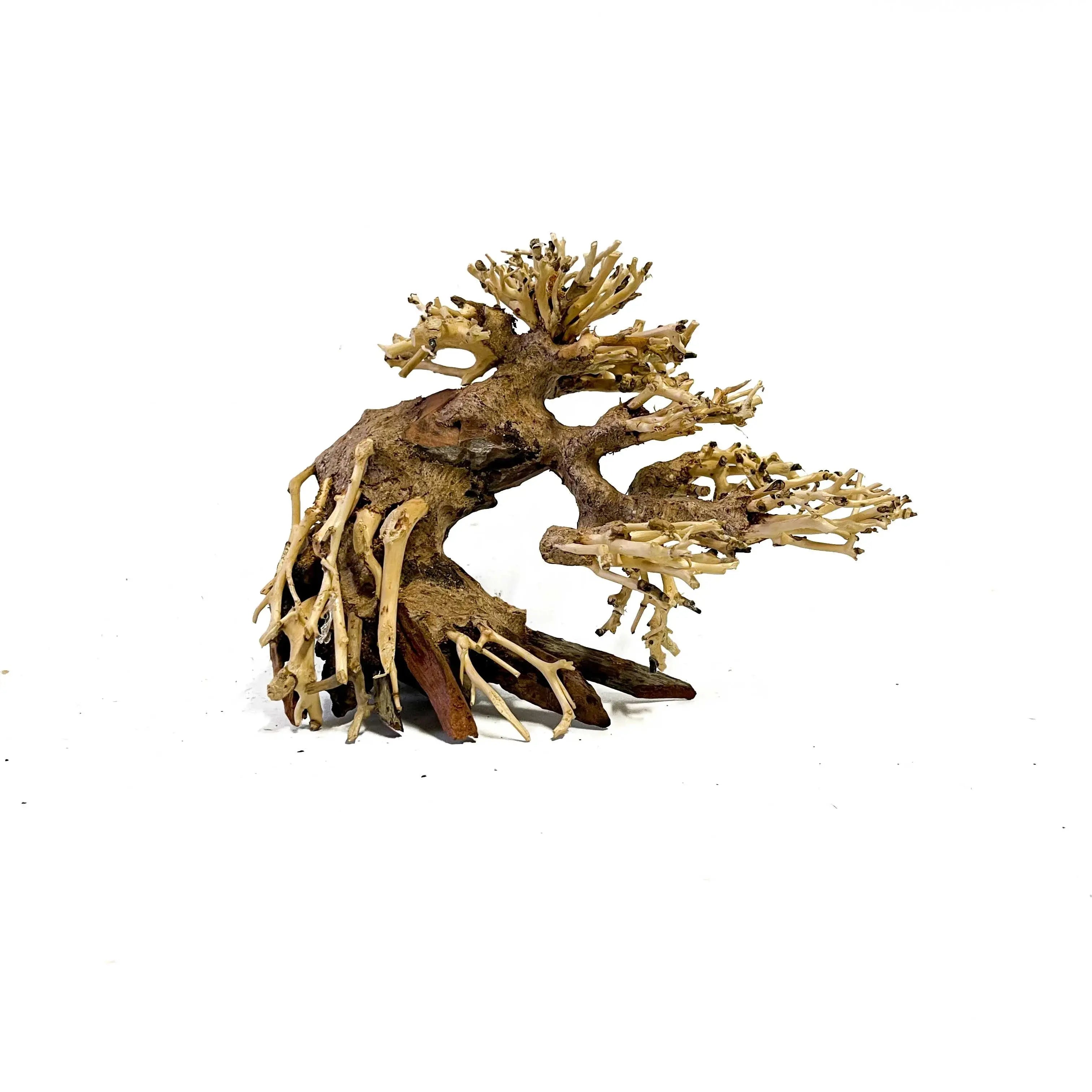 Masterpiece Bonsai Driftwood - 15 x 20 cm | S - 1z