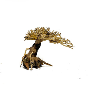 Masterpiece Bonsai Driftwood - 15 x 20 cm | S - 2z