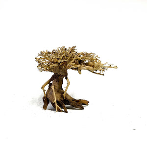 Masterpiece Bonsai Driftwood - 15 x 20 cm | S - 2z