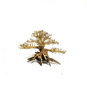 World Tree | Bonsai Driftwood - 15 x 20 cm | S - 5z