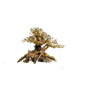 World Tree | Bonsai Driftwood - 15 x 20 cm | S - 5z