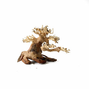 Masterpiece Bonsai Driftwood - 15 x 20 cm | S - 6