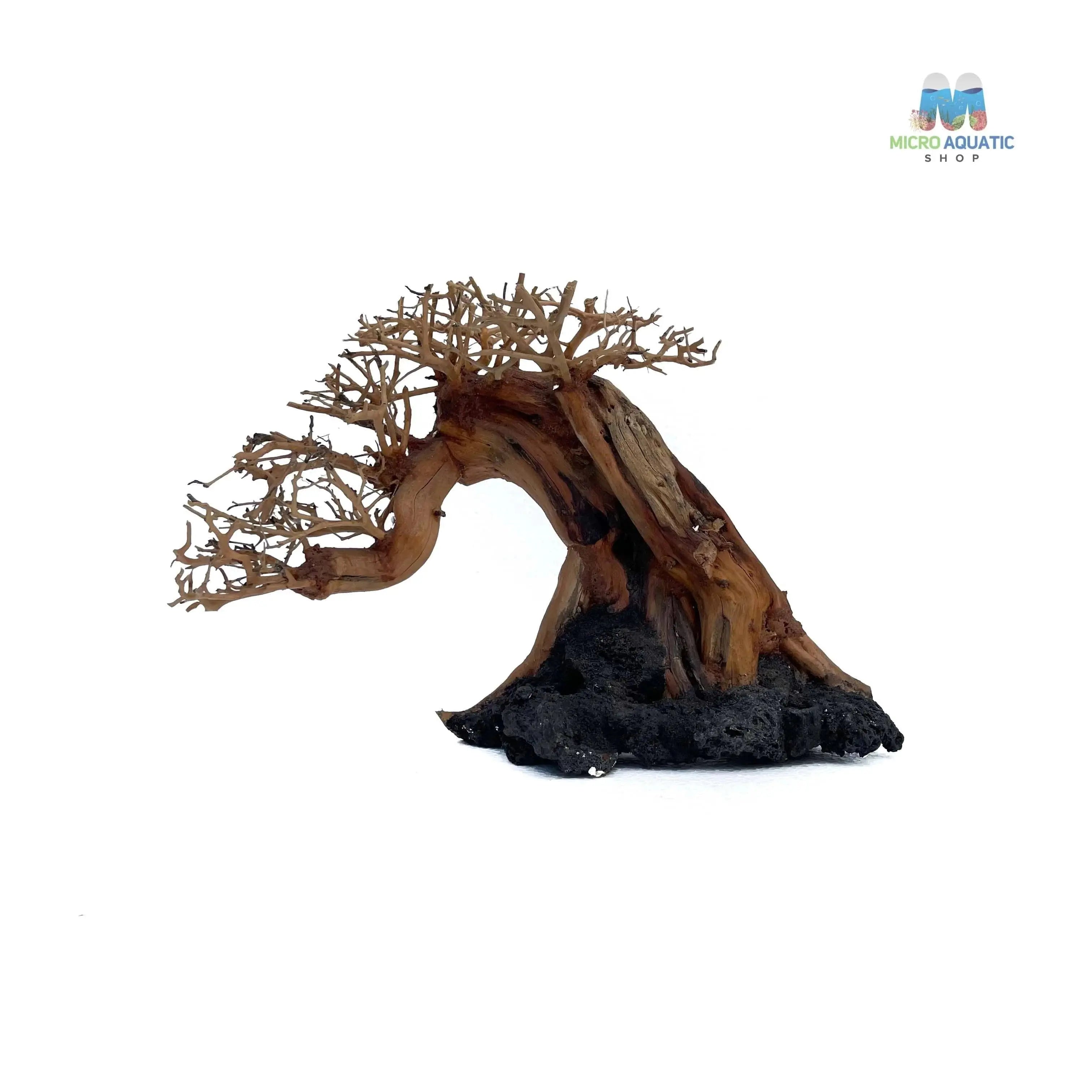 Masterpiece Bonsai Driftwood ~ 20 x 30 cm | B - 11