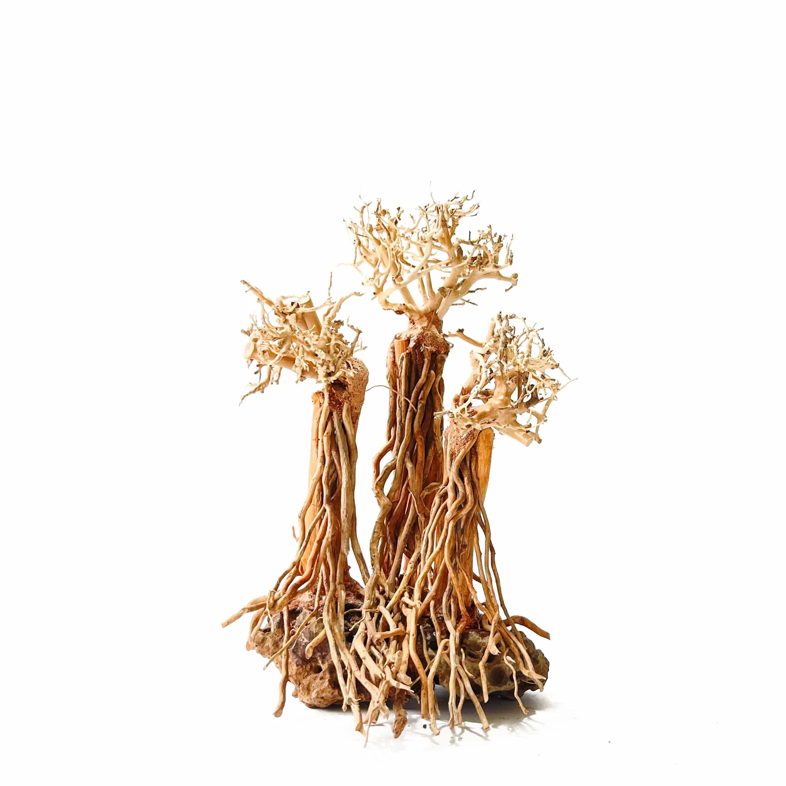 Masterpiece Bonsai Driftwood - Fantasy Forest