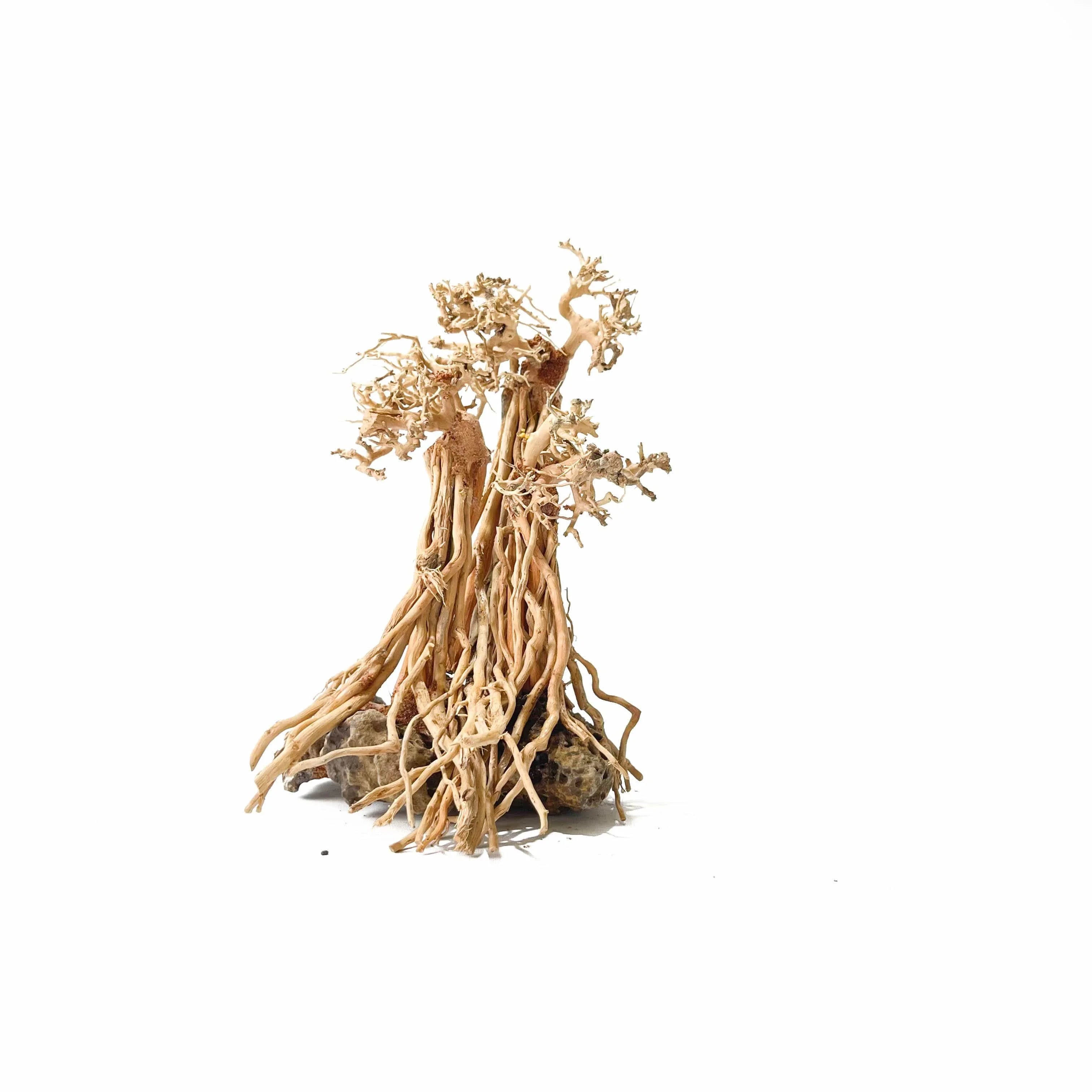 Masterpiece Bonsai Driftwood - Fantasy Forest