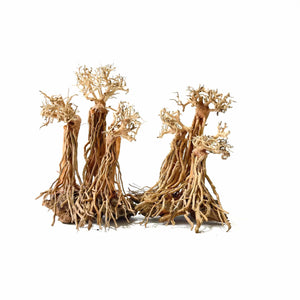 Masterpiece Bonsai Driftwood - Fantasy Forest