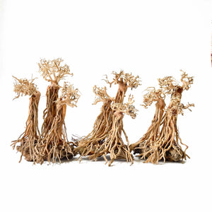 Masterpiece Bonsai Driftwood - Fantasy Forest