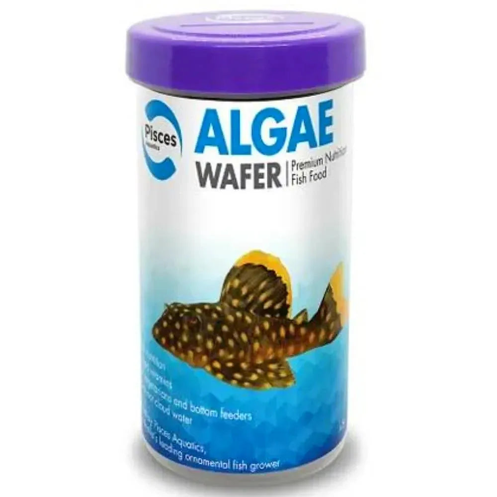 Algae Wafer