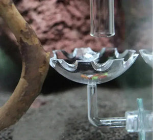 Acrylic Shrimp Feeding Dish