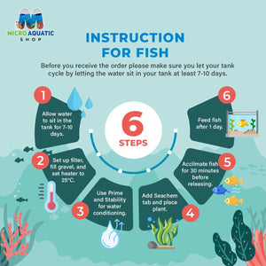 MINI OCEAN COMBO: FOR NEWBIE FISH & PLANT LOVER