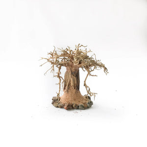 Miniature Bonsai Driftwood on Volcanic Rock - 10- 15cm Tall