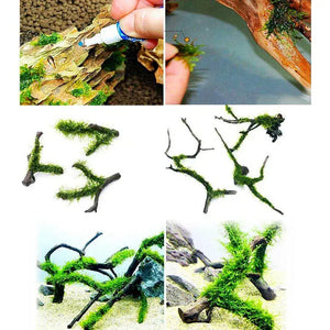 Aquarium Cyanoacrylate Glue