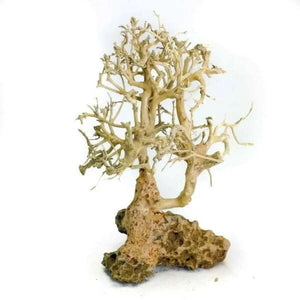 Nature style Driftwood tree on Volcanic Rock -  10cm Tall