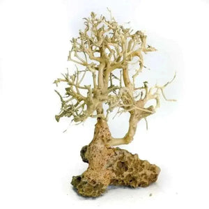 Nature style Driftwood tree on Volcanic Rock - 10cm Tall