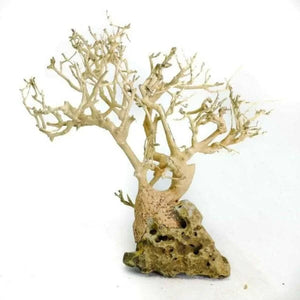 Nature style Driftwood tree on Volcanic Rock -  10cm Tall