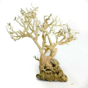 Nature style Driftwood tree on Volcanic Rock - 10cm Tall
