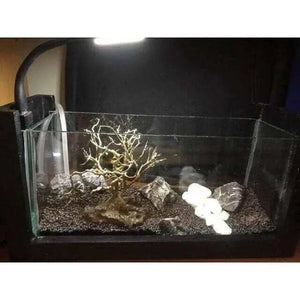 Nature style Driftwood tree on Volcanic Rock -  10cm Tall