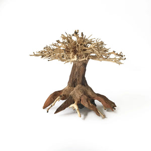 New Bonsai Driftwood Aquarium Tree