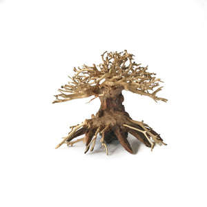 New Bonsai Driftwood Aquarium Tree