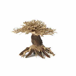 New Bonsai Driftwood Aquarium Tree
