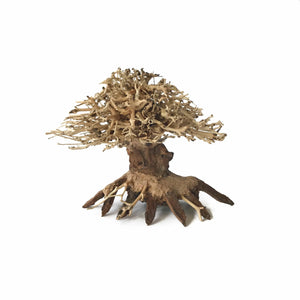 New Bonsai Driftwood Aquarium Tree
