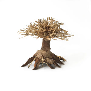 New Bonsai Driftwood Aquarium Tree