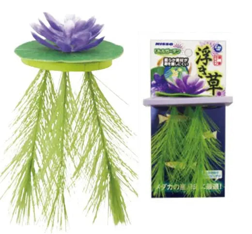 Nisso Floating Lily Purple (NAP-521) Micro Aquatic Shop