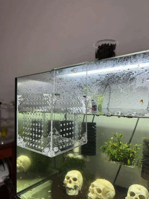 Aquarium Hanging Breeder Box – Clear Acrylic Tank Divider for Fish, Shrimp & Plants Micro Aquatic Shop