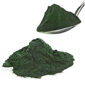 Spirulina Powder - Fry / Shrimplet Food Micro Aquatic Shop
