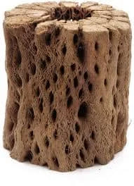 Teddy Bear Cholla Wood-100% Natural-Organic Aquarium Driftwood Decoration