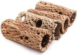 Teddy Bear Cholla Wood-100% Natural-Organic Aquarium Driftwood Decoration