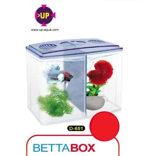Up Aqua Betta Isolation Box