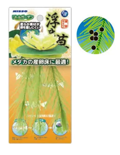 Nisso Floating Lily Yellow (NAP-522) Micro Aquatic Shop