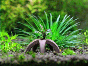 Micro Aquatic Shop Aquarium Accessories SUDO Ceramic Shelters for Shrimps ,Moss and Plants