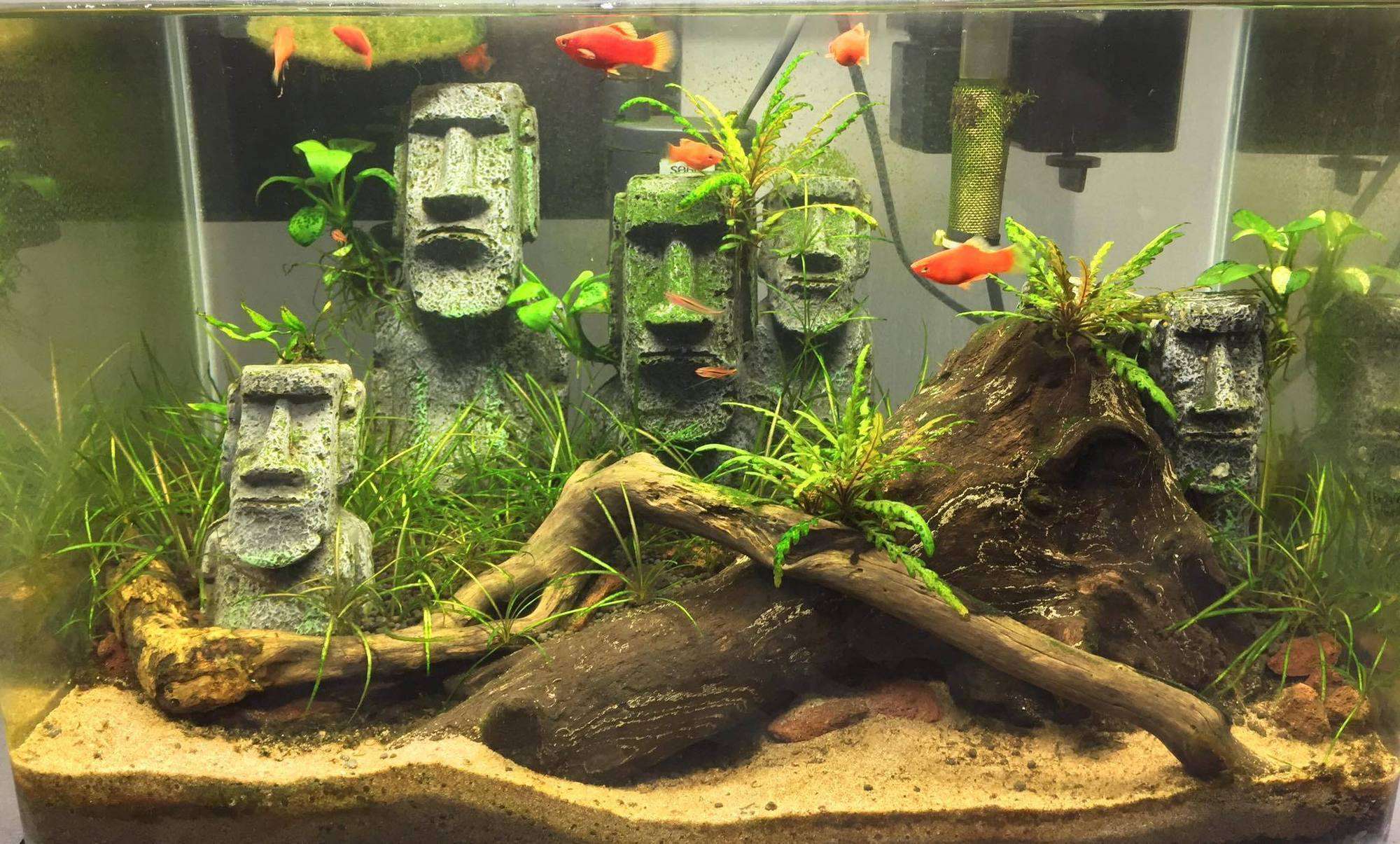 Micro Aquatic Shop Aquarium Decorations Easter Island Heads- Stone Statue- Aquarium Decorations