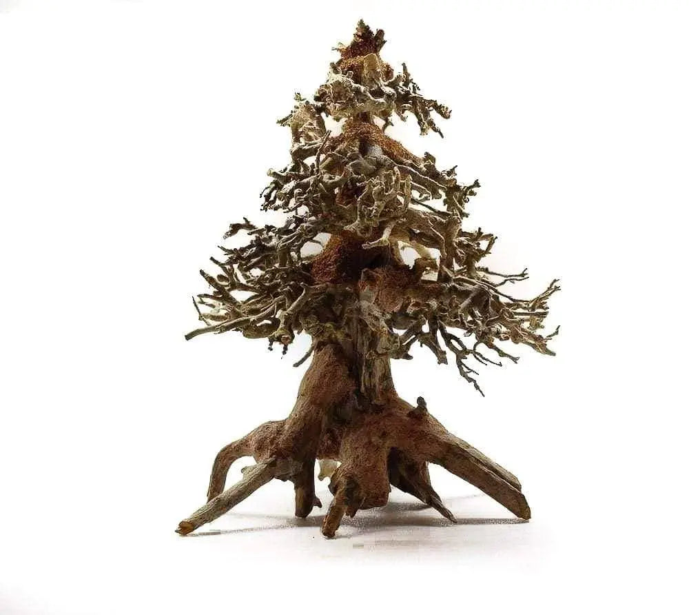 Micro Aquatic Shop Small Bonsai Driftwood Christmas Tree Bonsai Driftwood
