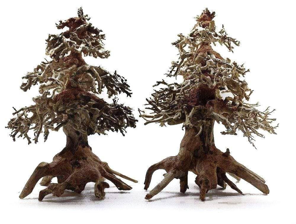 Micro Aquatic Shop Small Bonsai Driftwood Christmas Tree Bonsai Driftwood
