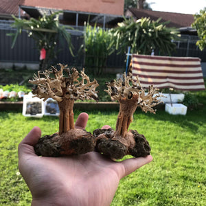 Micro Aquatic Shop Small Bonsai Driftwood New Nature style Driftwood tree on Volcanic Rock - 10-15cm (Tall )