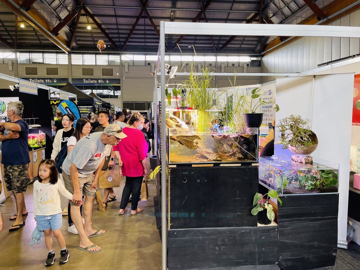 Aquarium keepers visiting the Micro Aquatic Shop expo display