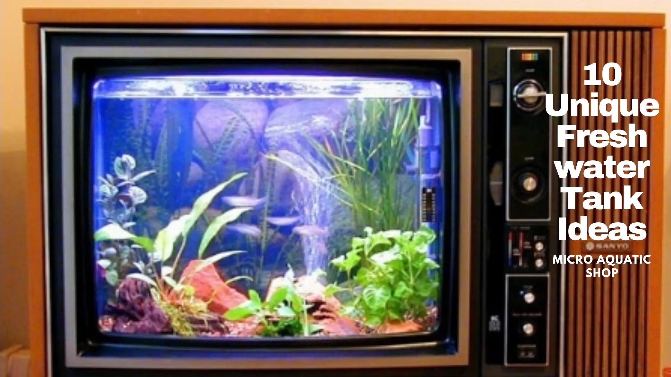 10 Unique Freshwater Tank Ideas
