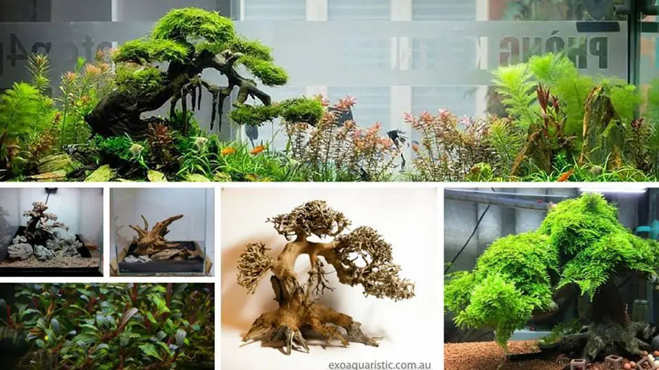 microaquaticshop.com.au