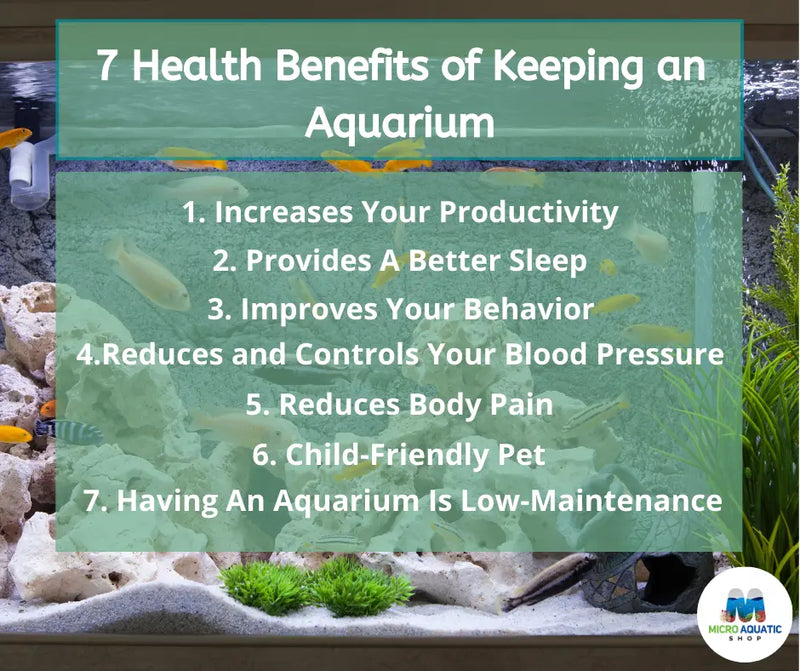 Benefits of keeping an aquarium