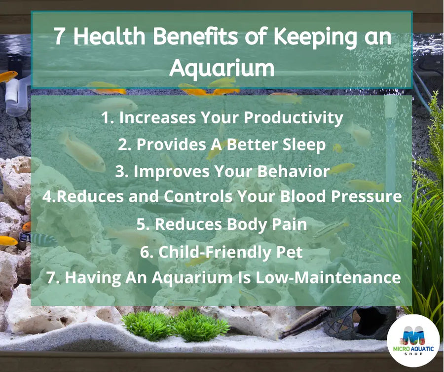 Benefits of keeping an aquarium