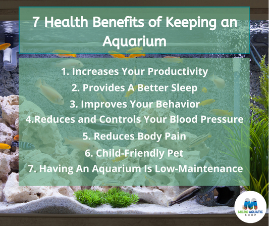 Benefits of keeping an aquarium